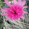 User Avatar Annick Gilliot