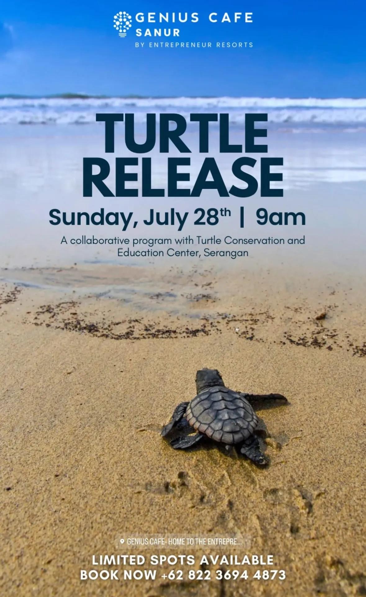 Event at Genius Cafe on July 28 2024: Turtle Release