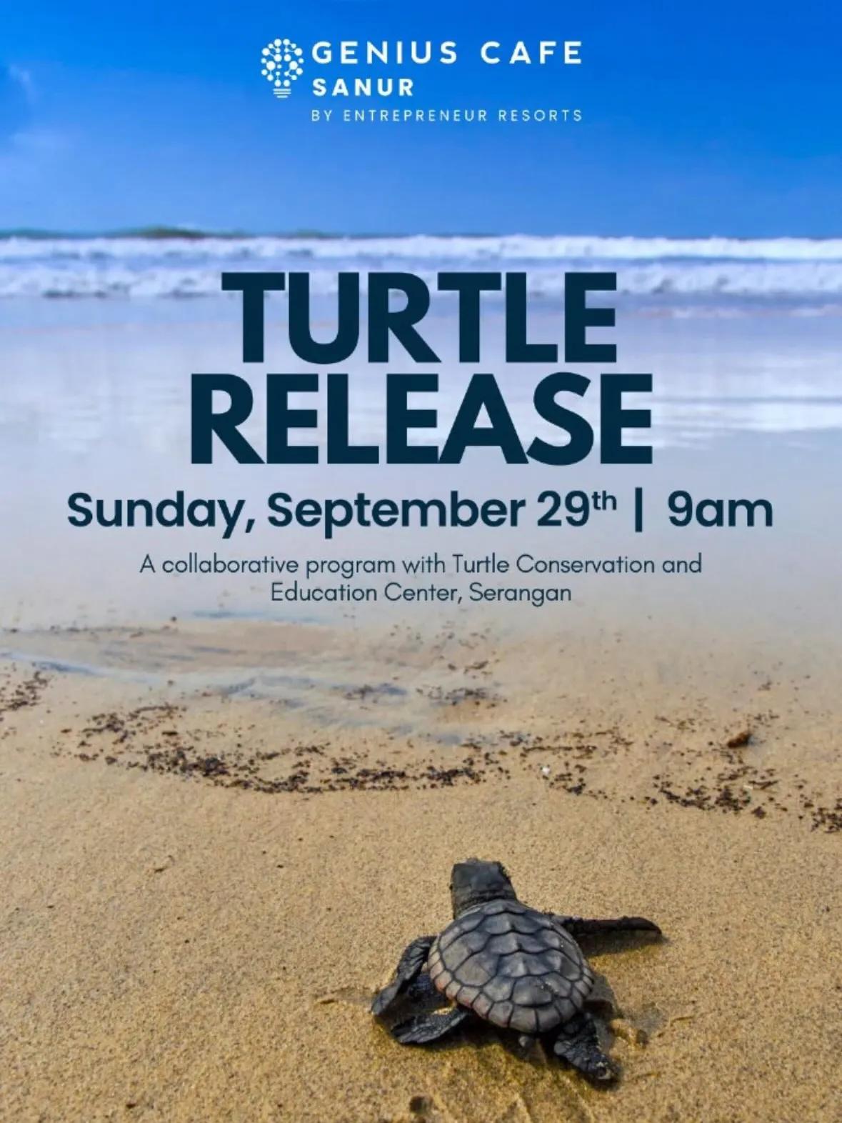 Event at Genius Cafe on September 29 2024: Turtle Release