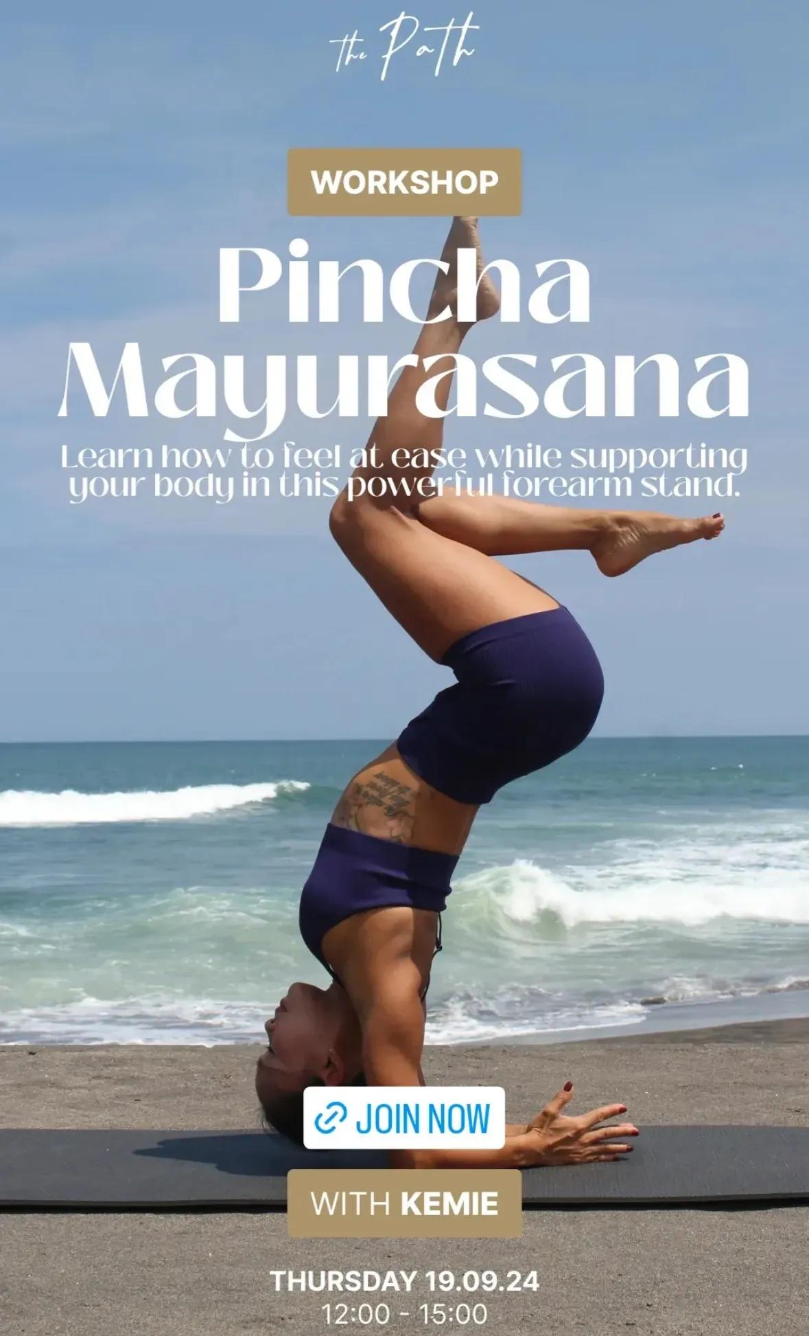 Event at The Path on September 19 2024: Pincha Mayurasana