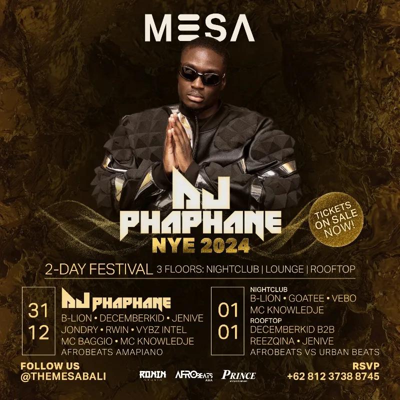 Event at Mesa everyday in 2024: Nye Festival